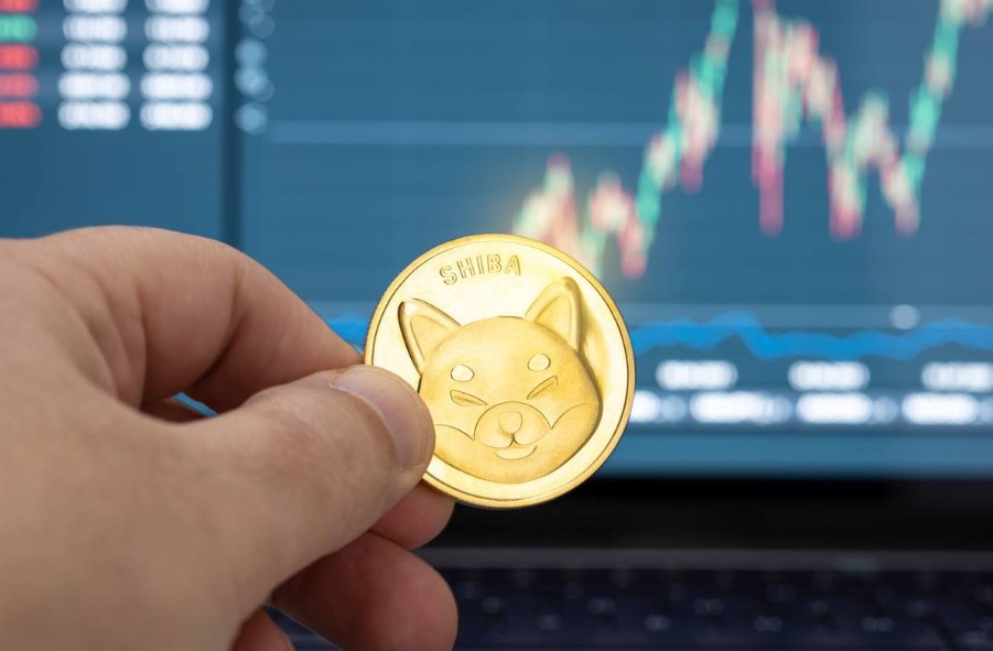 Shiba-Inu-Coin